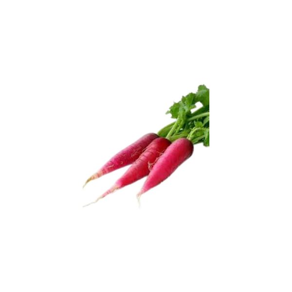 Raddish Red / मूला रातो