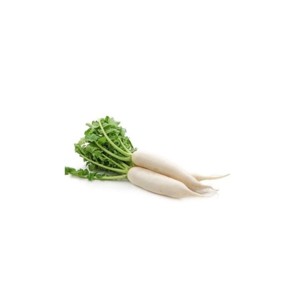 Raddish White / सेतो मुला