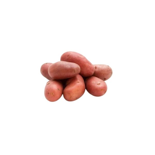 Potato Red (Indian)