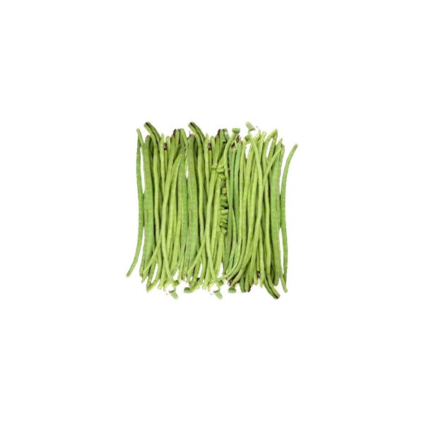 Cowpea / Bodi (Short) / छोटो बोडी