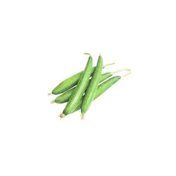Sponge Gourd/ Luffa Gourd / Ghiraula / घिरौला