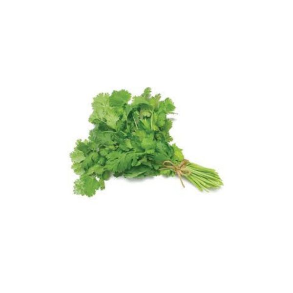 Coriander Green / हरियो धनिया