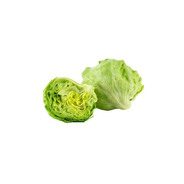 Iceberg Lettuce / आइसबर्ग लेटस