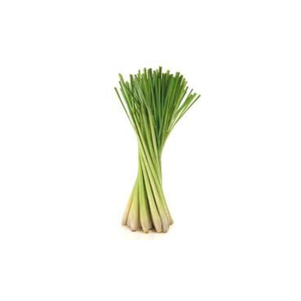 Lemon grass / लेमन ग्रास