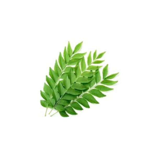 Curry Leaf / करी पात