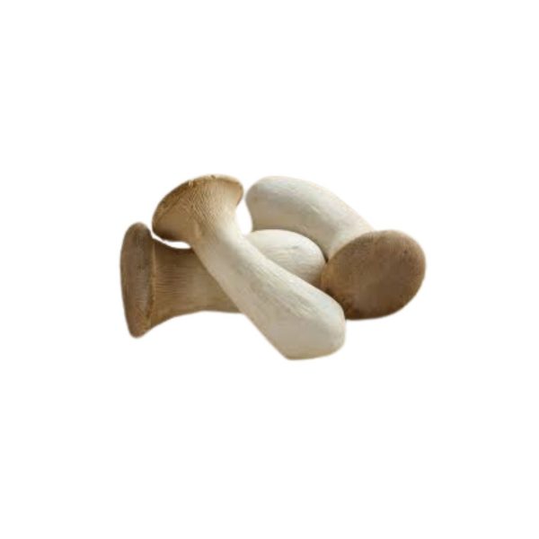 King Oyster Mushroom / किंग ओइस्टर च्याउ