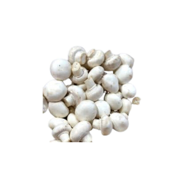 Mushroom (Button) / बटन च्याउ